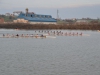 VII Ascenso de Traineras y 8+ - XIV Gran Premio San José - VII Trofeo Memorial Lagar, celebrado en la Ría de Astillero, 12 de marzo de 2016. Fotos Gerardo Blanco.