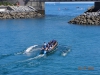 XXXIII Bandera Petronor, celebrada en Zierbena el 3 de julio de 2016, tercera regata de la Liga San Miguel ACT.