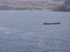 LIV Campeonato Regional de Traineras de Cantabria 2018, celebrado el sábado 30 de junio en la Playa de Brazomar (Castro Urdiales).