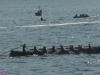 Regata clasificatoria de La Concha, edición número 123, celebrada en la Bahía de San Sebastián el jueves 30 de agosto de 2018. Foto Chicho y Toñi.