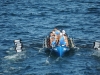 Play-Off de ascenso (primera jornada) 2018 a la Liga ACT, celebrado en Bermeo el sábado 15 de septiembre de 2018. Foto Bermeo Arraun Argazkiak.