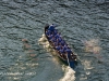 X Regata Test de San Pedro, celebrada en Pasajes de San Pedro el sábado 30 de marzo de 2019. Foto Iñaki Suárez Calleja.