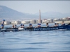 III Bandera Euskadi Basque Country, primera regata de la Liga San Miguel 2015, celebrada en MÃ¡laga el dominto 28 de junio.